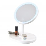 XY Portable LED Makeup Mirror (XYMR01)