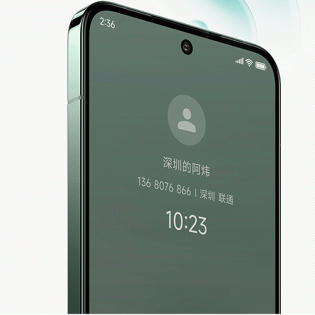 Xiaomi 14 Limited Edition 16GB/1TB Olive Green