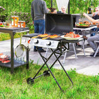 Portable gas barbecue, 2 burners 5.6 kW, camping gas barbecue with side shelves, thermometer and wheels, black