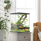 Terrarium, glass enclosure, lockable, cable management, 45x45x60cm, black — view 4