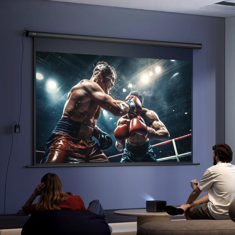 Electric Projector Screen 266 x 149 cm 16:9, Black Metal