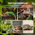 Reptile Glass Terrarium with Stone Background, Front Ventilation, Escape-Proof Knob Lock, 30 x 20 x 20 cm, Black — view 6