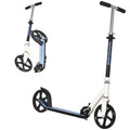 Folding Kids Kick Scooter Ride on Toys-Blue