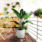 3pcs Indoor Metal Plant Stand Decorative Iron Flower Pot Holders Durable Steel~