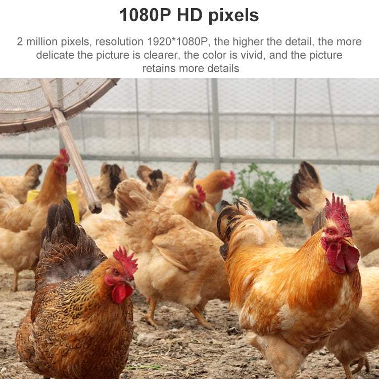 QX5 4G (EU Version) 2.0 Million Pixels 1080P HD 20X Zoom Dome Smart Camera, Support Infrared Night Vision / Motion Detection / Voice Intercom / TF Card, AU Plug