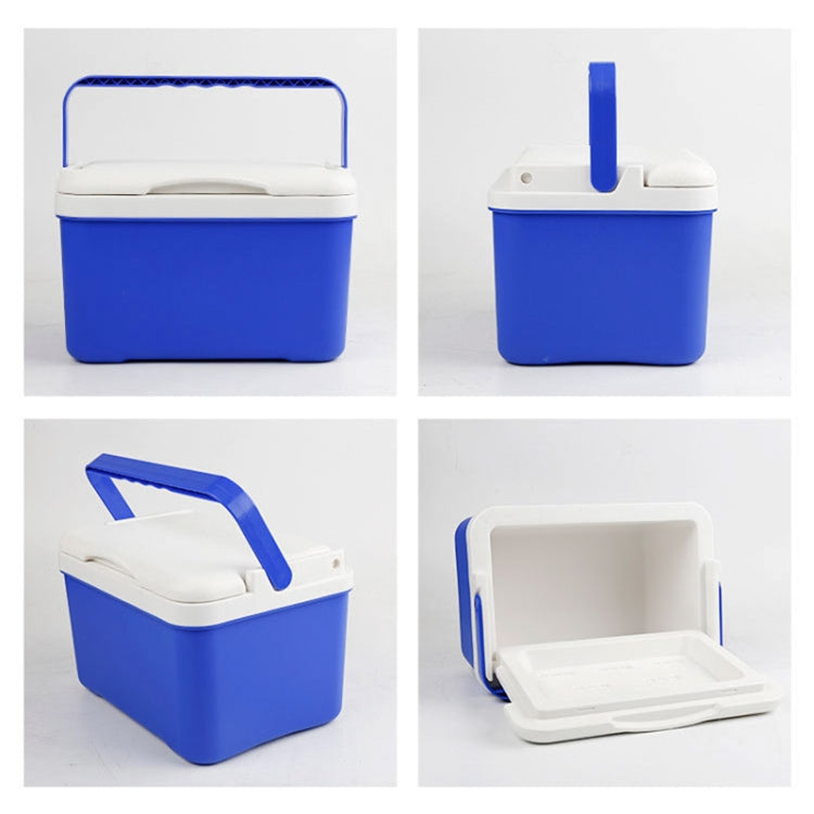 Car Portable Mini 6L EPS Incubator Box