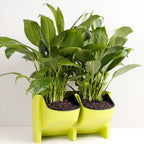 PP Planter Flower Pot Wall Hanging Garden Hanging Stackable Garden Supplies — Green