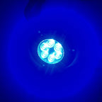 DC 10-30V 12W IP68 316 Stainless 6 LEDs Blue Light Underwater Light Boat High Power Bright for Marine / Yacht