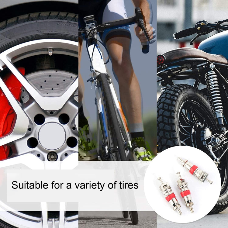 Car / Motorcycle Tire Valve Core Repair Kit, 100 in 1