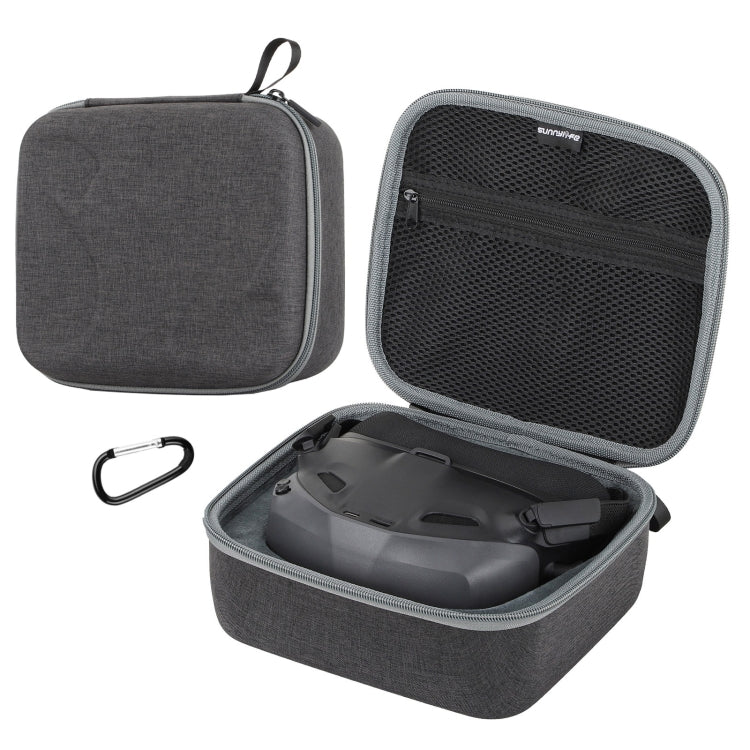 Flying Glasses N3 Sunnylife Handheld Storage Bag
