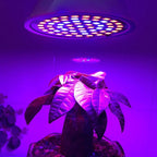 20W 60 LEDs Plant Growth LED Bulb — view 5