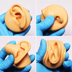 Simulation Facial Features Silicone Model