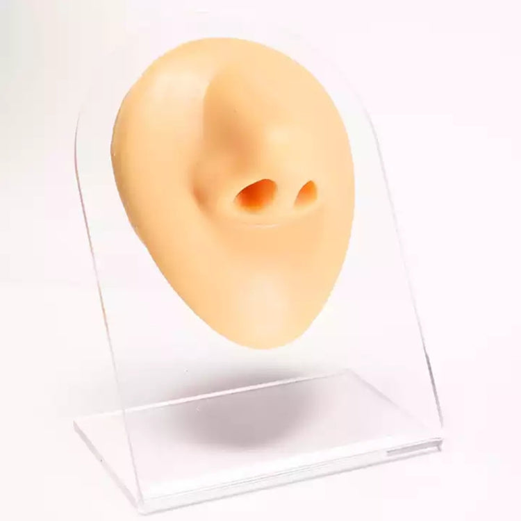 Simulation Facial Features Silicone Model