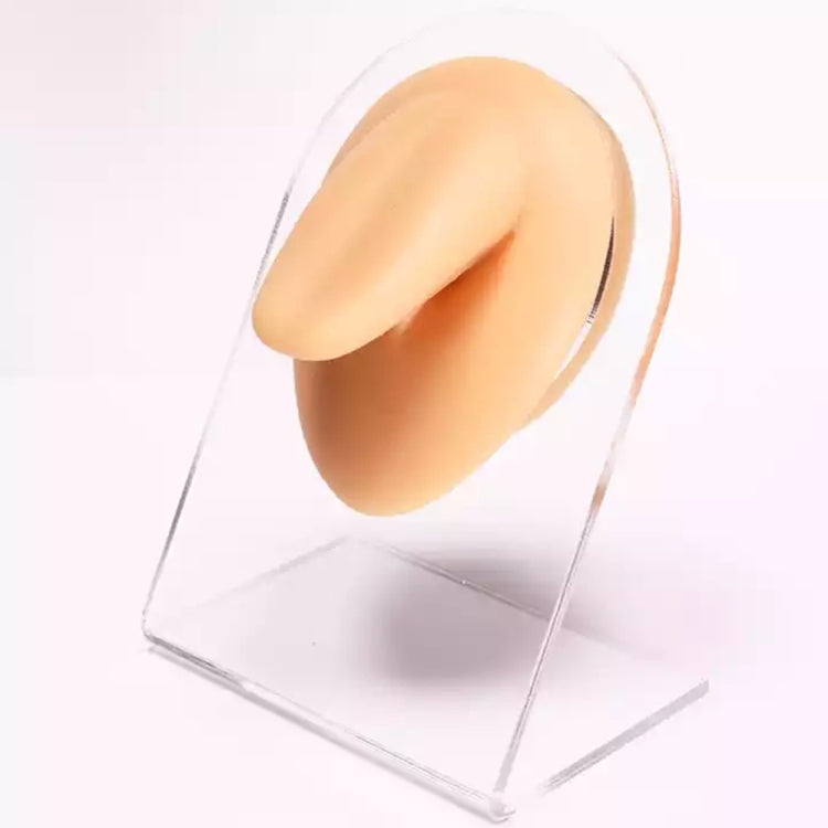 Simulation Facial Features Silicone Model
