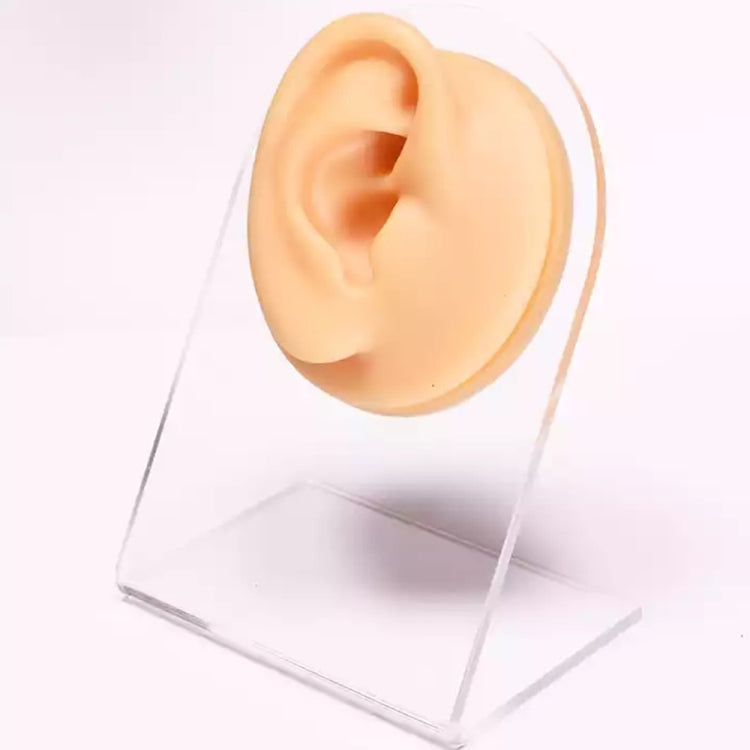 Simulation Facial Features Silicone Model
