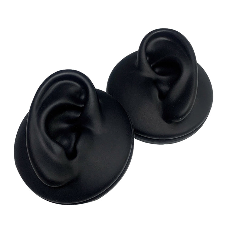 Soft Silicone Simulation Ear Model
