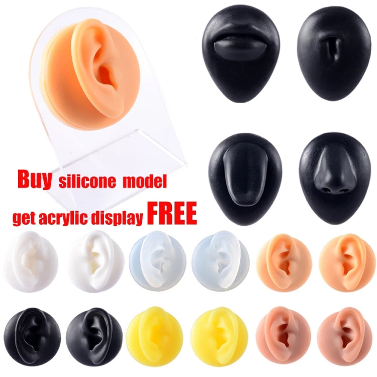 Soft Silicone Simulation Ear Model