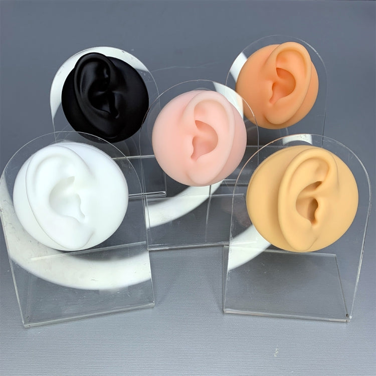 Soft Silicone Simulation Ear Model