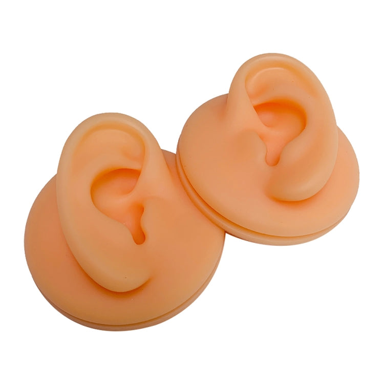 Soft Silicone Simulation Ear Model