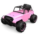 9304E 1:18 Full Scale Remote Control 4WD High Speed Car