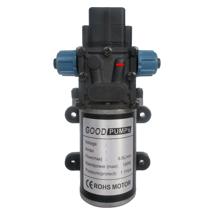 Diaphragm 8L Atomizing Spray Water Pump for Car Washing / Irrigation