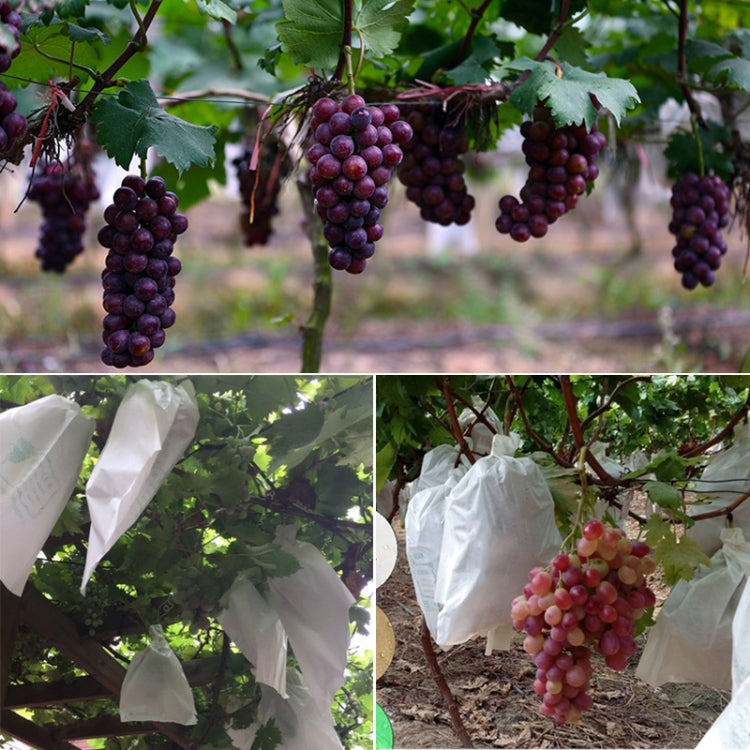 100pcs Waterproof Grape Packaging Bag Paper Bag Fruit Protective Bag — 28x36