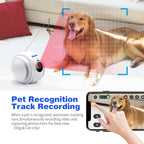 ESCAM QF011 2MP Smart Pet Robot Camera with Night Vision & APP Remote Control