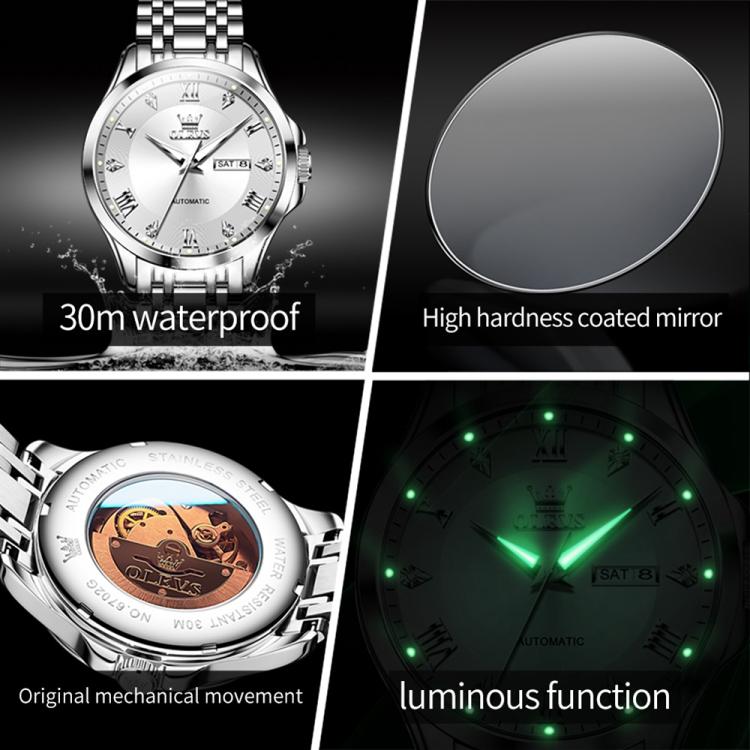 OLEVS 6702 Men Waterproof Luminous Dual Calendar Mechanical Watch — Black Gold