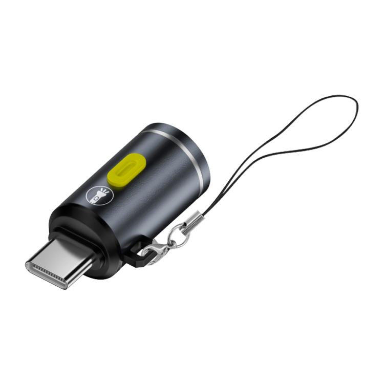 Type-C Power Mini Flashlight 210-230LM — Grey