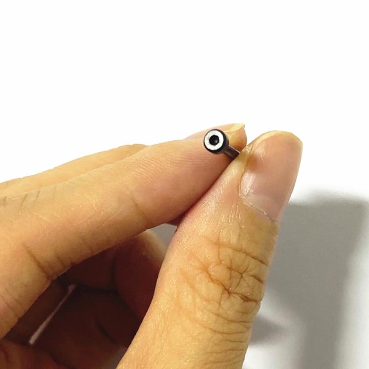 1 Pair Watch Band Replacement Lug Rod with Screwdriver