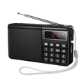 hoco HI50 Multi-function Portable AM and FM Bluetooth Radio Support USB Disk / TF Card