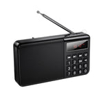 hoco HI50 Multi-function Portable AM and FM Bluetooth Radio Support USB Disk / TF Card