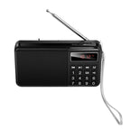 hoco HI50 Multi-function Portable AM and FM Bluetooth Radio Support USB Disk / TF Card