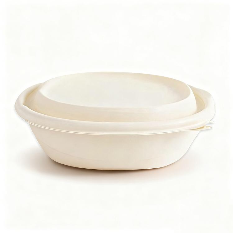 Disposable Food Delivery Lunch Box Containers