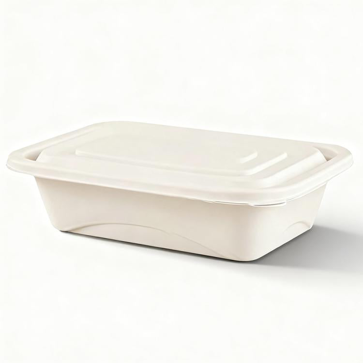Disposable Food Delivery Lunch Box Containers with Lid — 380ML Square Box Short