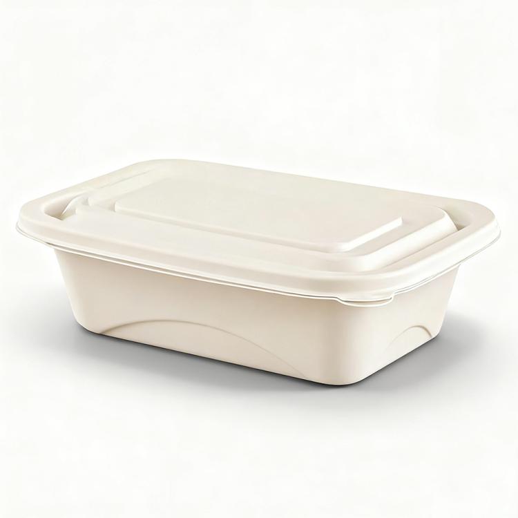 Disposable Food Delivery Lunch Box Containers with Lid — 380ML Square Box