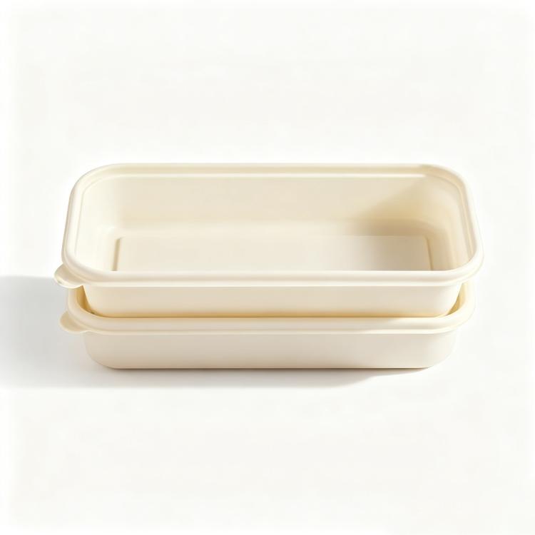 Disposable Food Delivery Lunch Box Containers with Lid — 500ML Square Box
