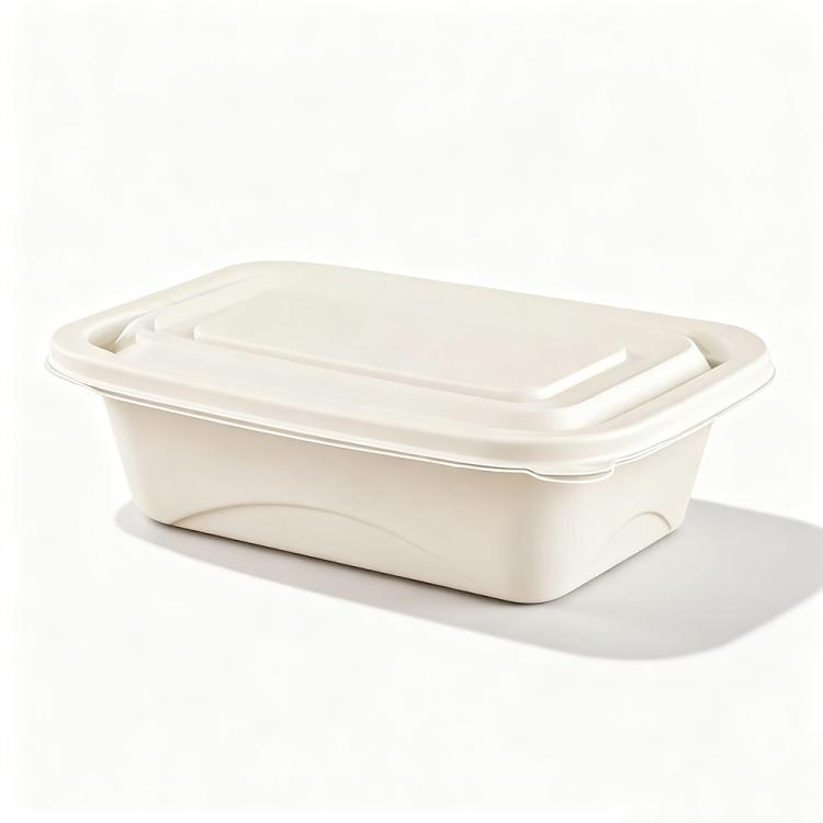 Disposable Food Delivery Lunch Box Containers with Lid — 510ML 3-Compartment