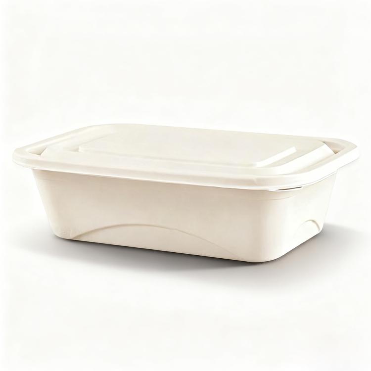 Disposable Food Delivery Lunch Box Containers with Lid — 650ML Square Box