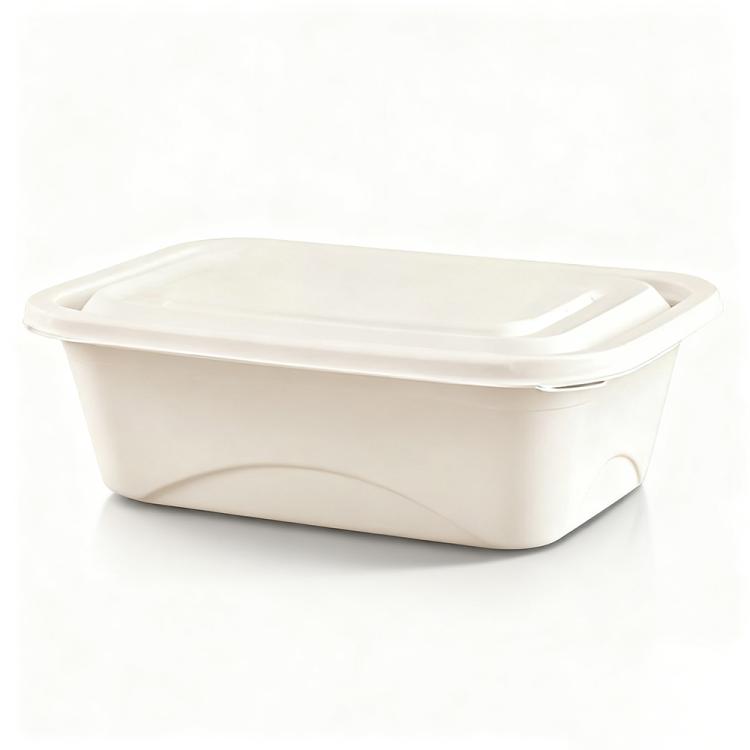 Disposable Food Delivery Lunch Box Containers with Lid — 850ML Square Box