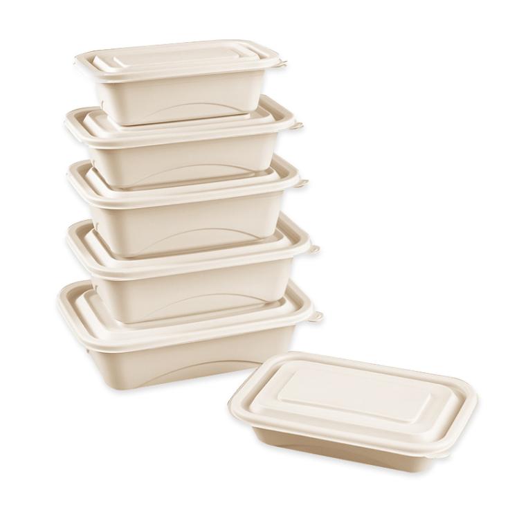 Disposable Food Delivery Lunch Box Containers with Lid — 1000ML Square Box