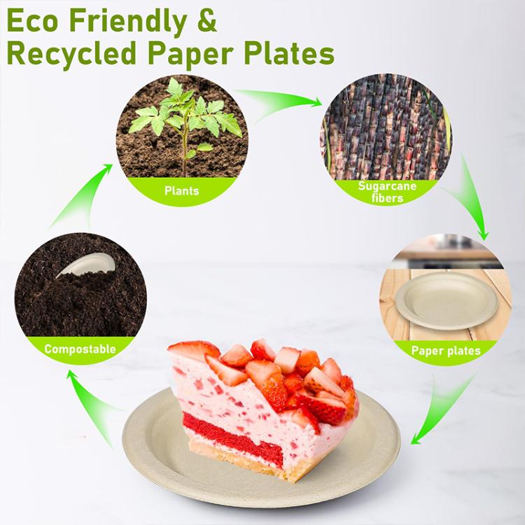 Biodegradable Disposable Round Plate