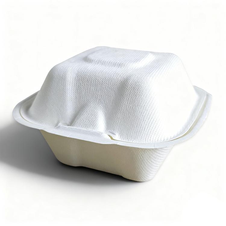 Disposable Takeout Lunch Box Containers