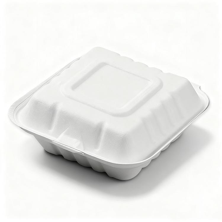 Disposable Takeout Lunch Box Containers — 137x137x58mm