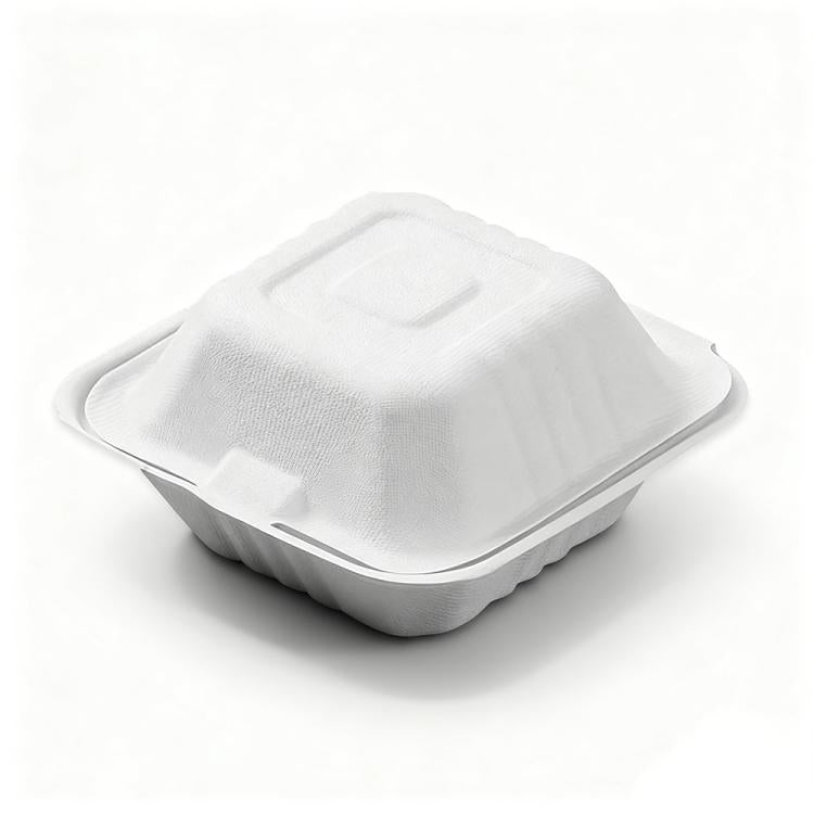 Disposable Takeout Lunch Box Containers — 152x152x75mm