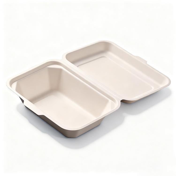 Disposable Takeout Lunch Box Containers — 183x135x65mm