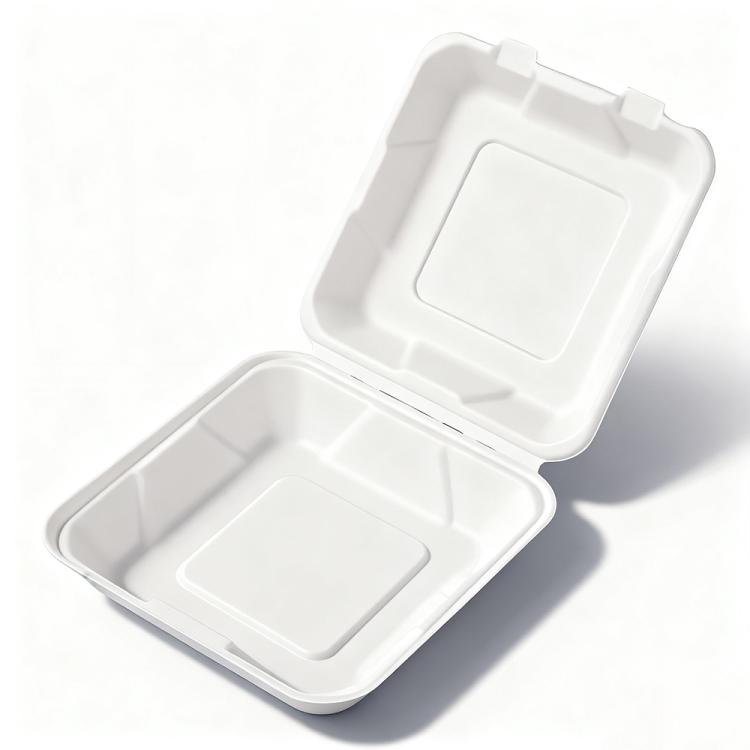 Disposable Takeout Lunch Box Containers — 205x205x65mm