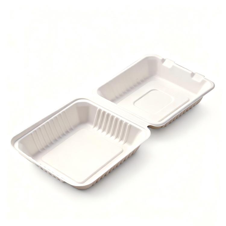 Disposable Takeout Lunch Box Containers — 220x200x77mm
