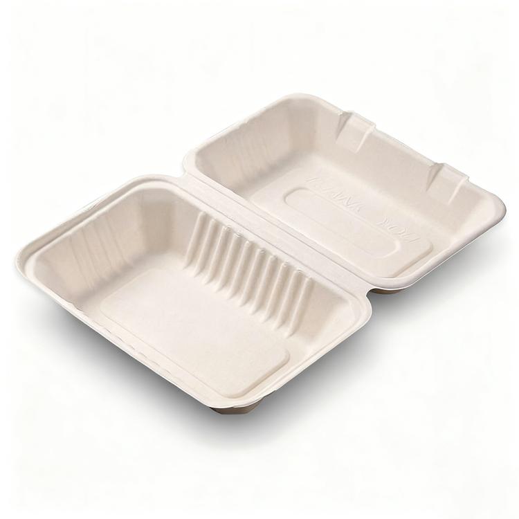 Disposable Takeout Lunch Box Containers — 230x158x80mm