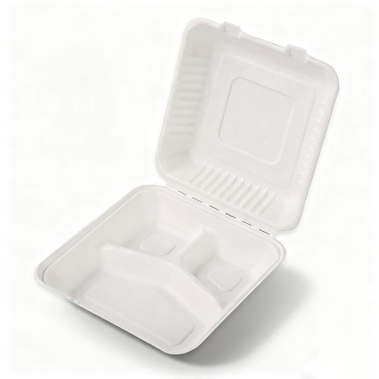 Disposable Takeout Lunch Box Containers — 235x230x80mm 3-Compartment